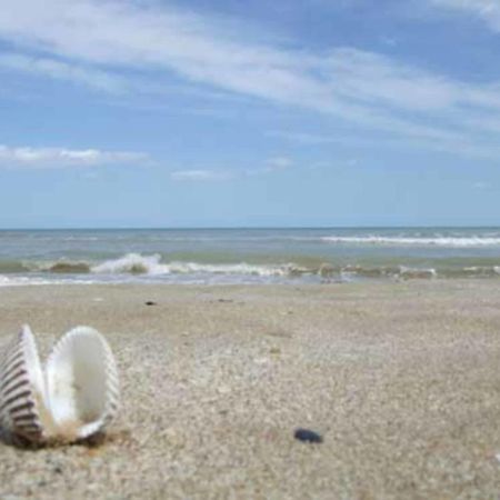 Hr Vapore Gatteo Mare Gatteo a Mare Dış mekan fotoğraf